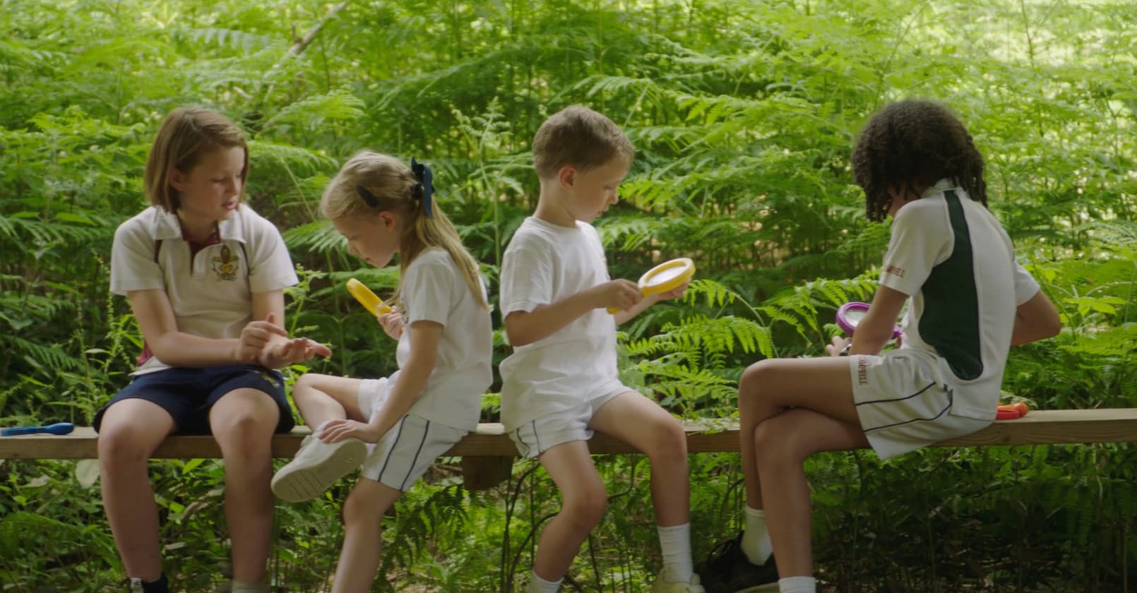 WATCH: Beechwood Park - Forest School
